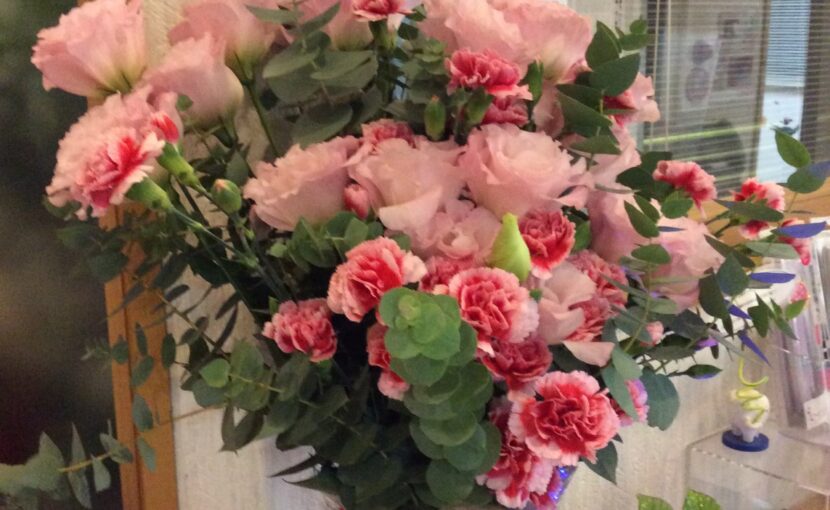 院長ブログ｜佐賀｜船津歯科クリニック