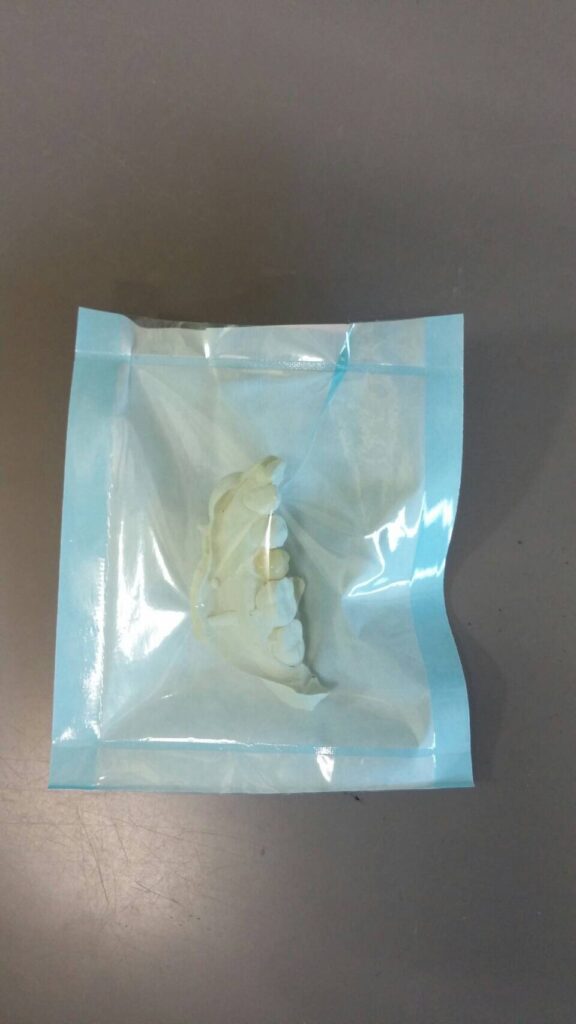 スタッフブログ｜佐賀｜船津歯科クリニック