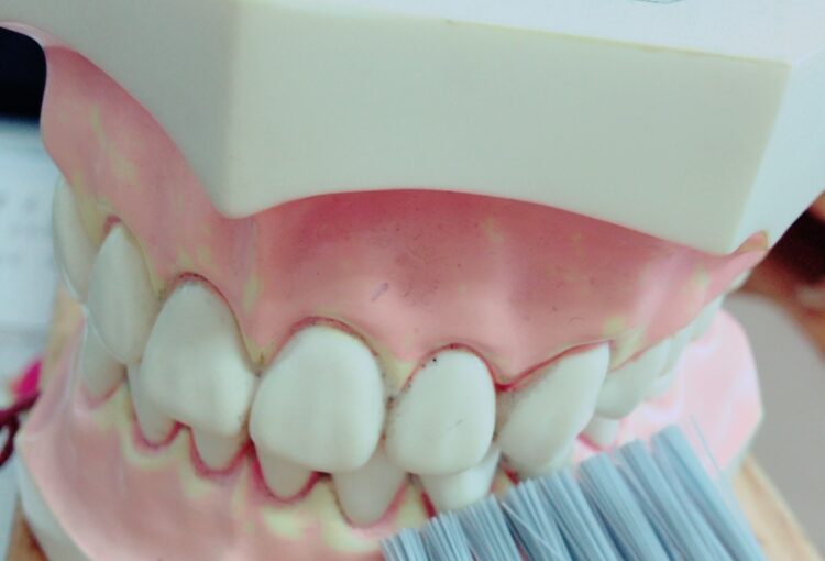 スタッフブログ｜佐賀｜船津歯科クリニック