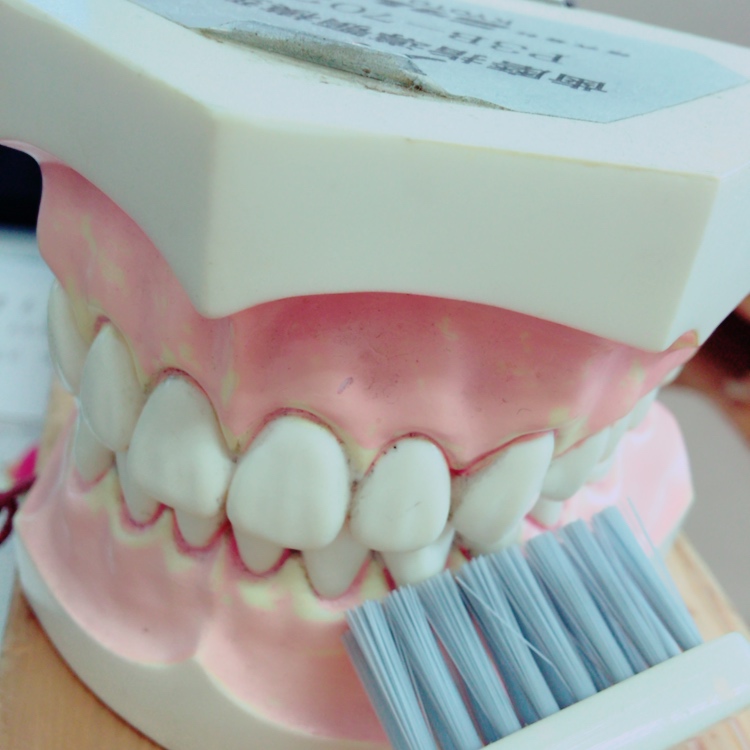 スタッフブログ｜佐賀｜船津歯科クリニック