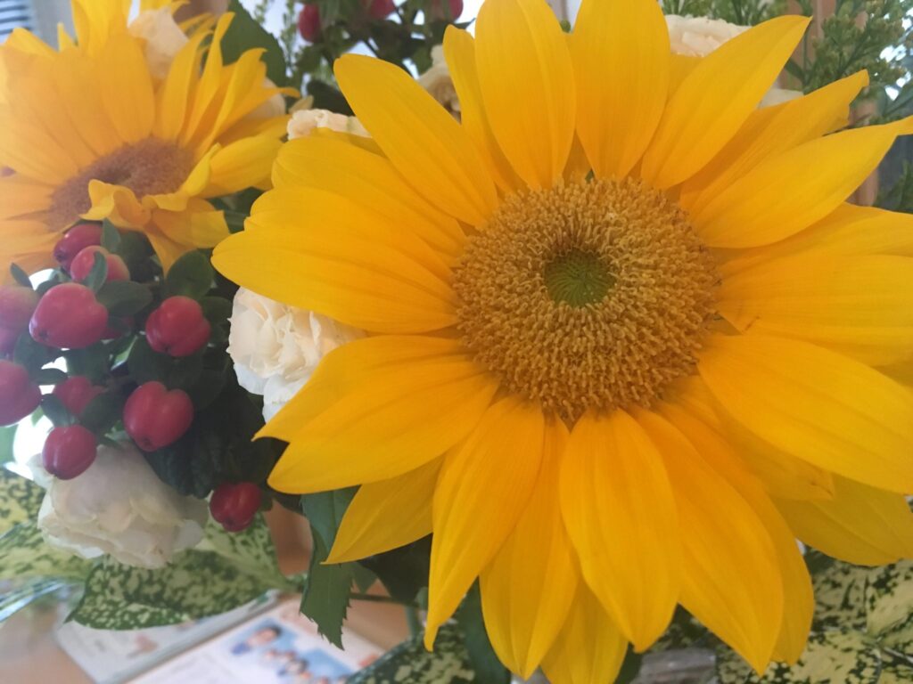 スタッフブログ｜佐賀｜船津歯科クリニック