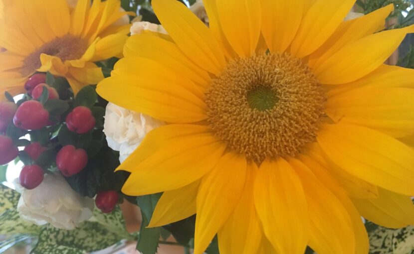 スタッフブログ｜佐賀｜船津歯科クリニック