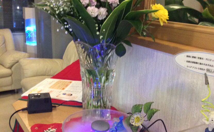 院長ブログ｜佐賀｜船津歯科クリニック