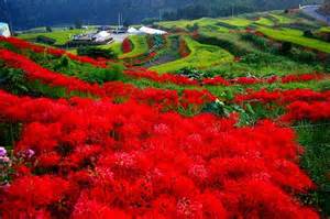 院長ブログ｜佐賀｜船津歯科クリニック